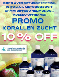 PROMO KORALLEN ZUCHT -15%